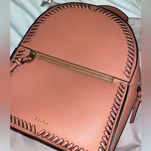 CALPAK KAYA BACKPACK